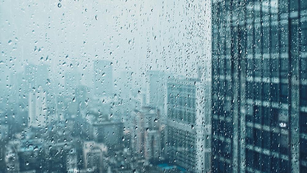 Rain drops on the window